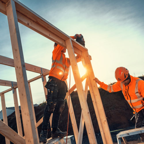 Byggarbetare i skyddshjälm och varselkläder bygger stommar för hus.